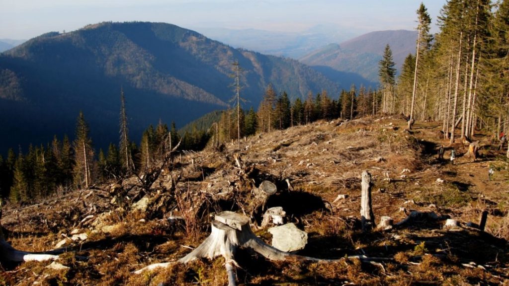Духовні лідери закликали українців мудро керувати природними дарами