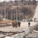 Життя кожного — найвища цінність
