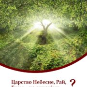 У Волинському соборі архієреї та студенти святкували актовий день
