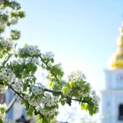 Ініціатива Митрополита Симеона: символ єдності та підтримки України в складні часи
