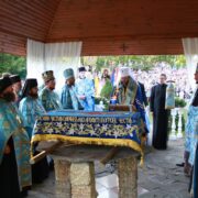 Чудотворна ікона «Всецариця» у Михайлівському Золотоверхому: 20 років благодаті